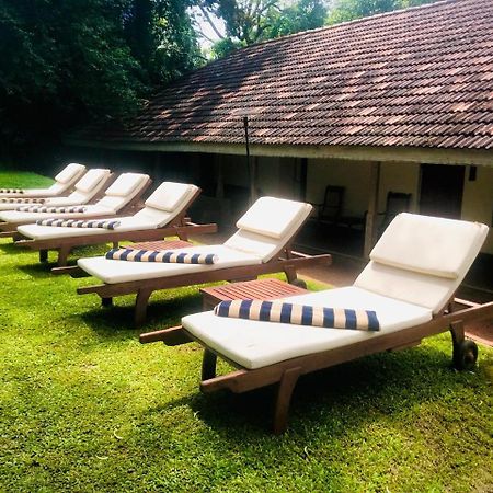 Ekho Sigiriya Hotel Bagian luar foto