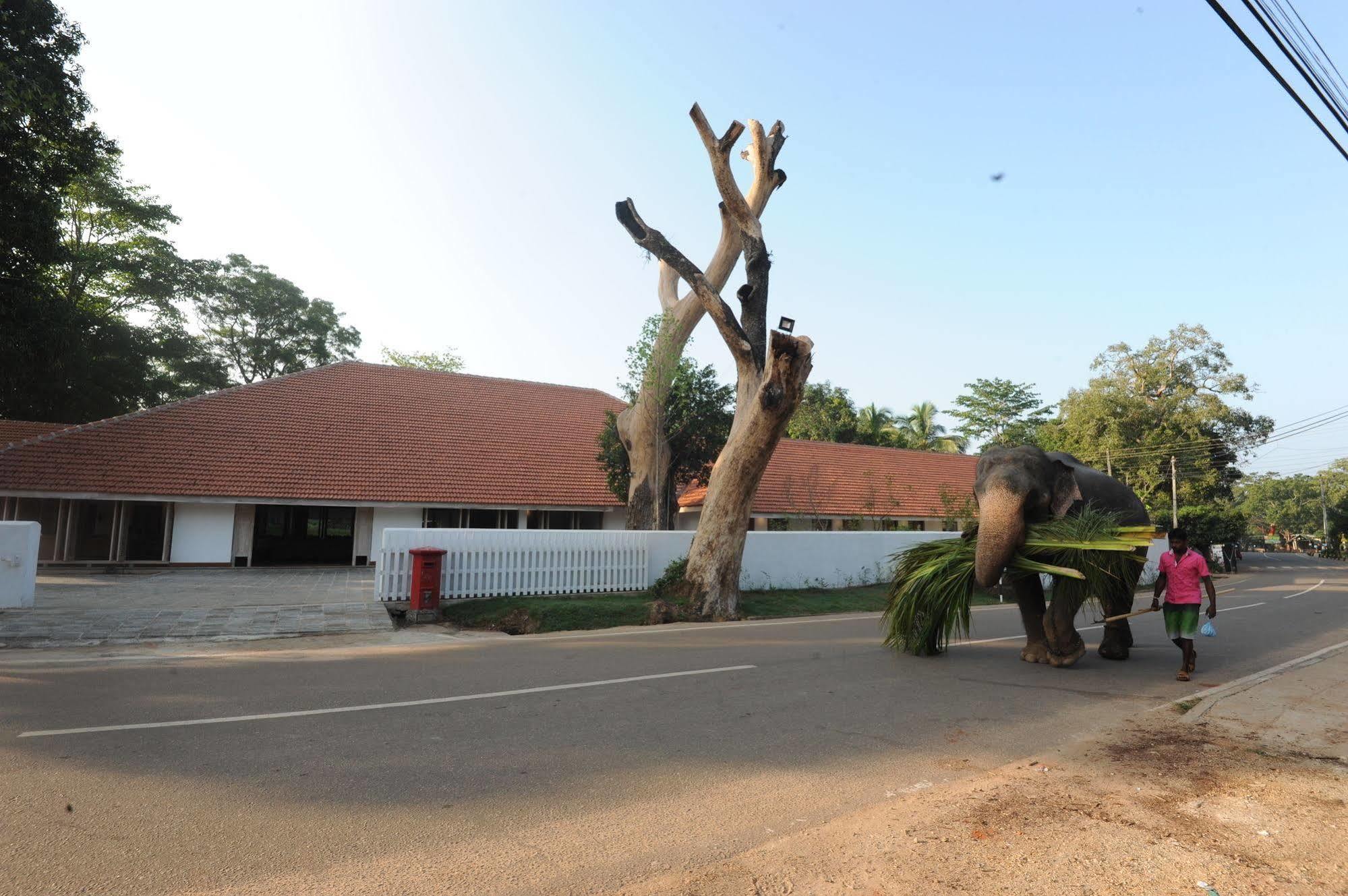 Ekho Sigiriya Hotel Bagian luar foto
